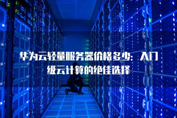 华为云轻量服务器价格多少:入门级云计算的绝佳选择