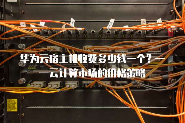 华为云宿主机收费多少钱一个?——云计算市场的价格策略