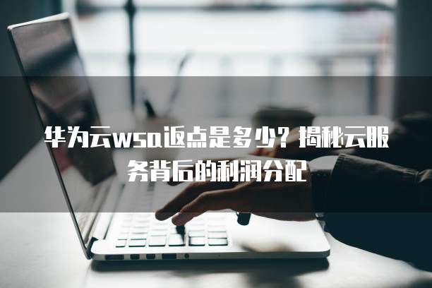 华为云wsa返点是多少?揭秘云服务背后的利润分配