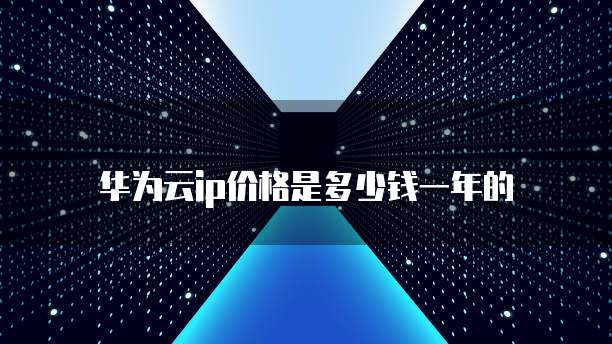 华为云ip价格是多少钱一年的