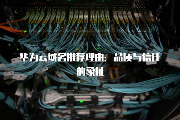 华为云域名推荐理由:品质与信任的象征