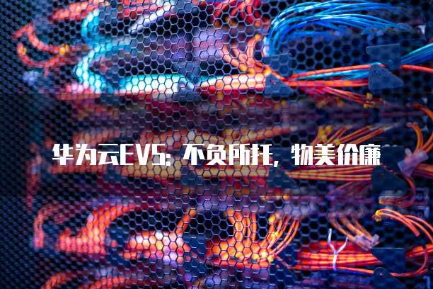 华为云EVS: 不负所托, 物美价廉