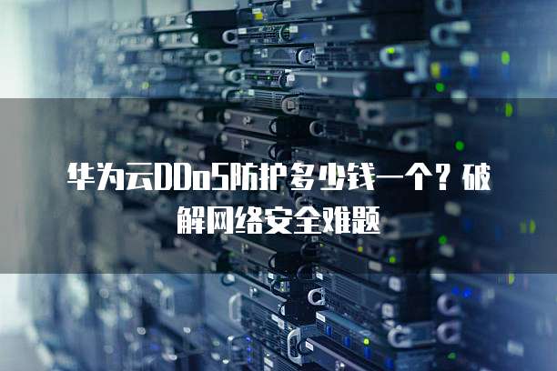 华为云DDoS防护多少钱一个?破解网络安全难题