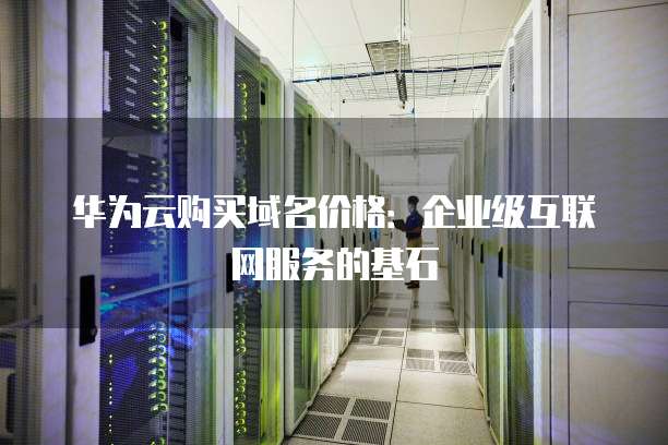华为云购买域名价格:企业级互联网服务的基石