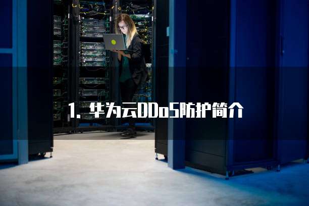 1. 华为云DDoS防护简介