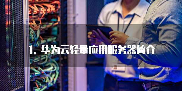 1. 华为云轻量应用服务器简介