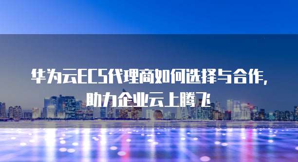 华为云ECS代理商如何选择与合作,助力企业云上腾飞