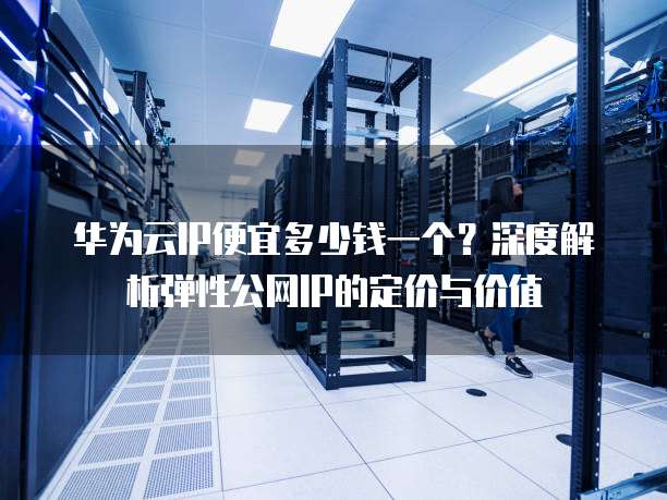 华为云IP便宜多少钱一个?深度解析弹性公网IP的定价与价值