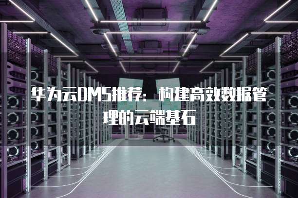 华为云DMS推荐:构建高效数据管理的云端基石