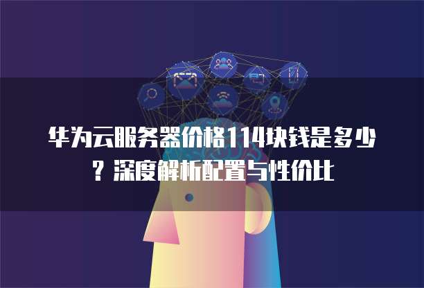 华为云服务器价格114块钱是多少?深度解析配置与性价比