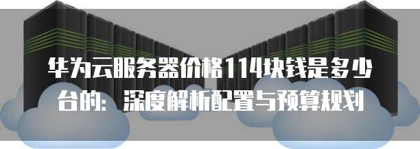 华为云服务器价格114块钱是多少台的:深度解析配置与预算规划