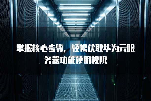 掌握核心步骤,轻松获取华为云服务器功能使用权限