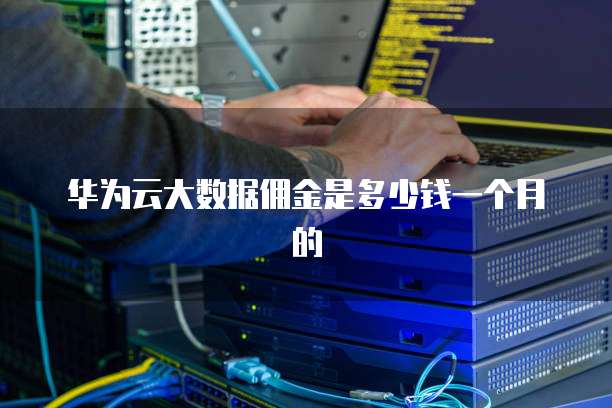 华为云大数据佣金是多少钱一个月的