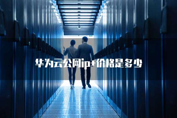 华为云公网ip+价格是多少