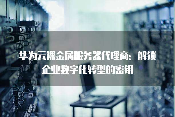 华为云裸金属服务器代理商:解锁企业数字化转型的密钥