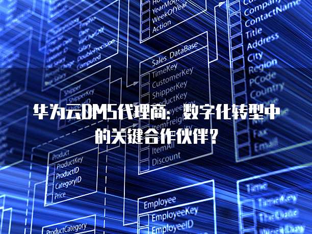 华为云DMS代理商：数字化转型中的关键合作伙伴？