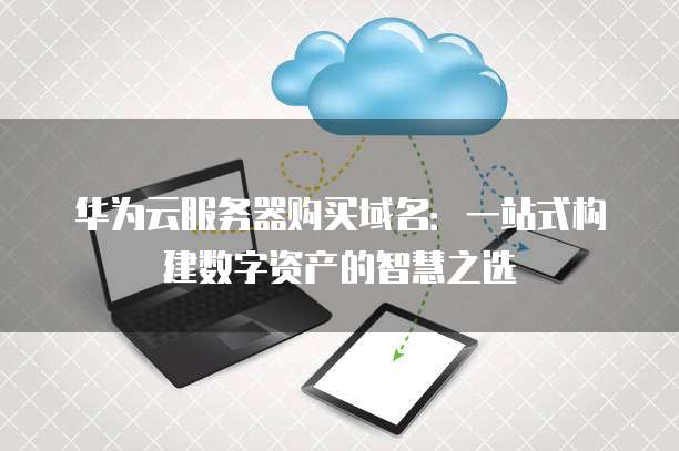 华为云服务器购买域名:一站式构建数字资产的智慧之选