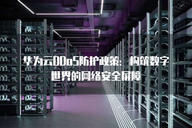华为云DDoS防护政策:构筑数字世界的网络安全屏障