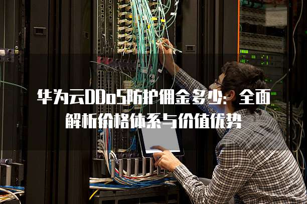 华为云DDoS防护佣金多少:全面解析价格体系与价值优势