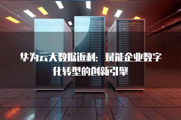 华为云大数据返利：赋能企业数字化转型的创新引擎