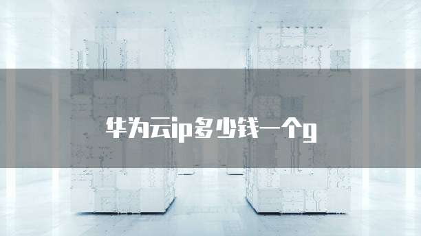 华为云ip多少钱一个g