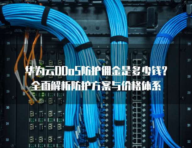 华为云DDoS防护佣金是多少钱？全面解析防护方案与价格体系