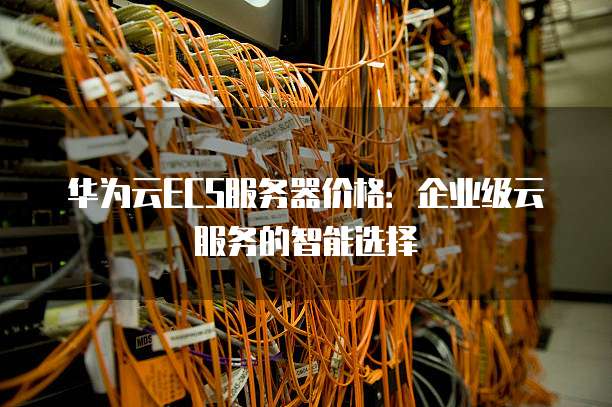 华为云ECS服务器价格：企业级云服务的智能选择