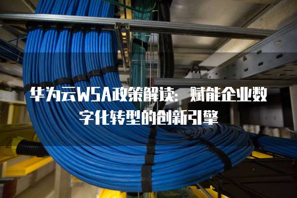 华为云WSA政策解读：赋能企业数字化转型的创新引擎