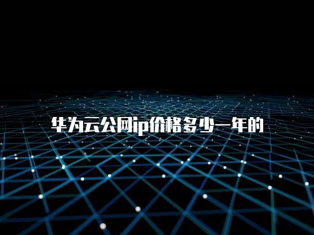 华为云公网ip价格多少一年的