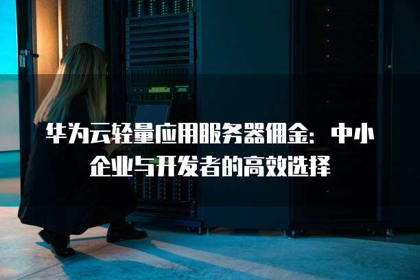 华为云轻量应用服务器佣金:中小企业与开发者的高效选择