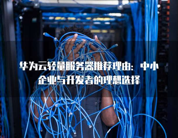 华为云轻量服务器推荐理由:中小企业与开发者的理想选择