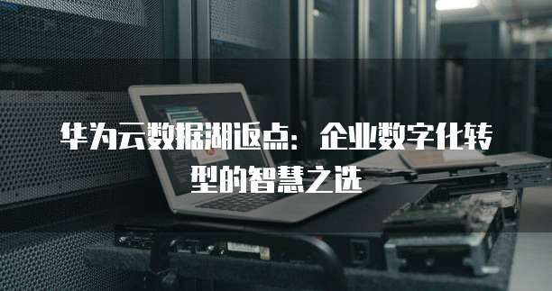 华为云数据湖返点：企业数字化转型的智慧之选