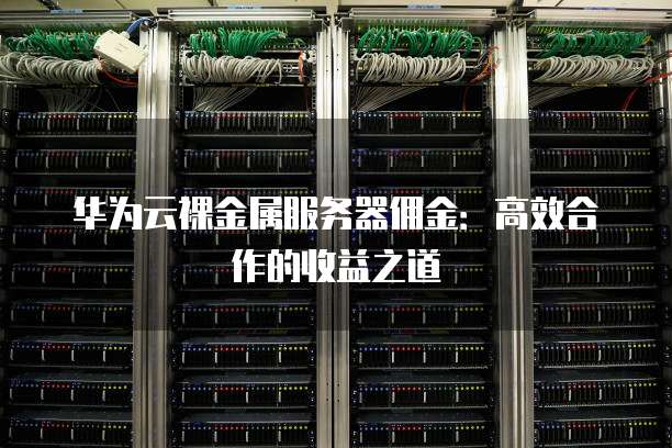 华为云裸金属服务器佣金：高效合作的收益之道