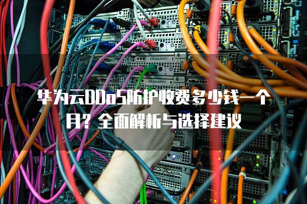 华为云DDoS防护收费多少钱一个月？全面解析与选择建议