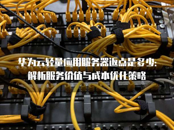 华为云轻量应用服务器返点是多少:解析服务价值与成本优化策略