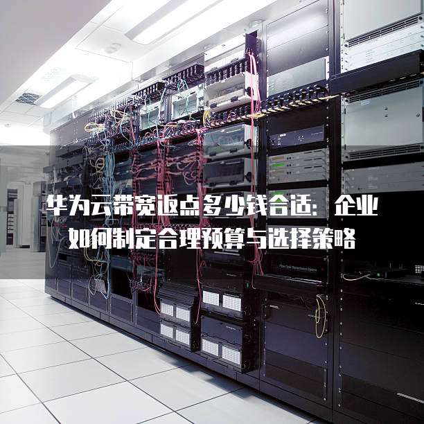 华为云带宽返点多少钱合适:企业如何制定合理预算与选择策略
