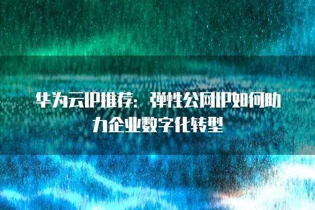 华为云IP推荐:弹性公网IP如何助力企业数字化转型