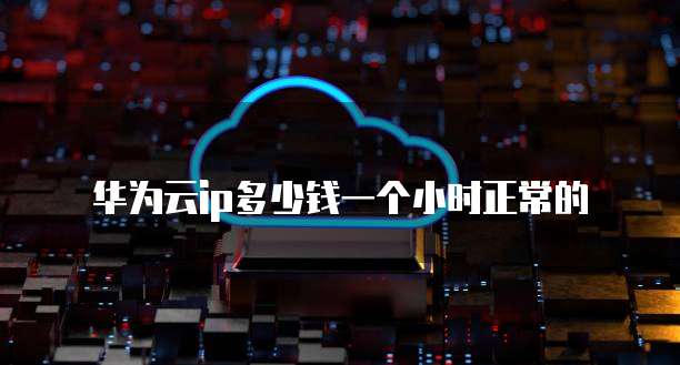 华为云ip多少钱一个小时正常的