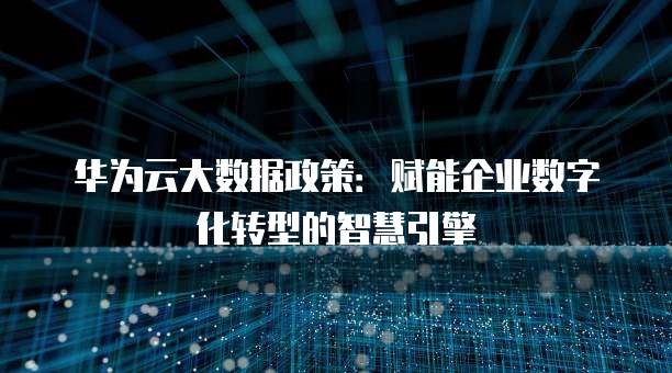 华为云大数据政策：赋能企业数字化转型的智慧引擎