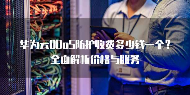 华为云DDoS防护收费多少钱一个?全面解析价格与服务