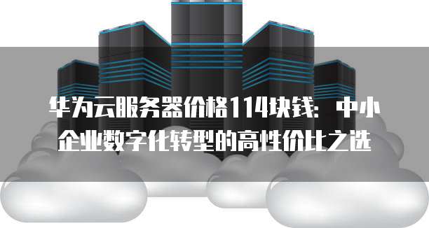 华为云服务器价格114块钱:中小企业数字化转型的高性价比之选