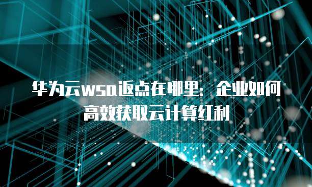 华为云wsa返点在哪里:企业如何高效获取云计算红利