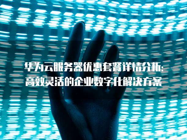 华为云服务器优惠套餐详情分析:高效灵活的企业数字化解决方案