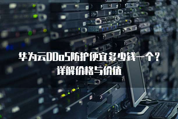 华为云DDoS防护便宜多少钱一个？详解价格与价值