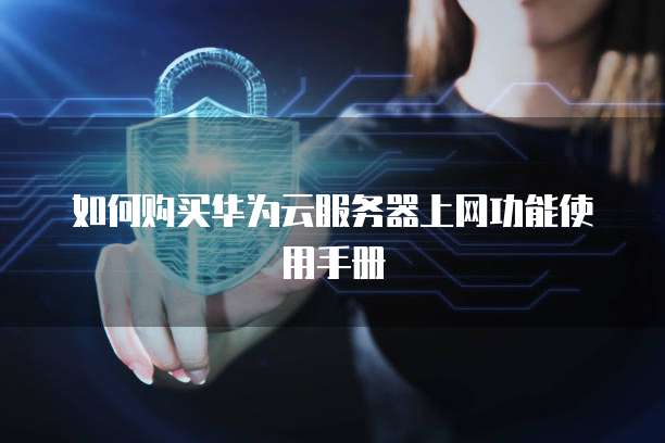 如何购买华为云服务器上网功能使用手册