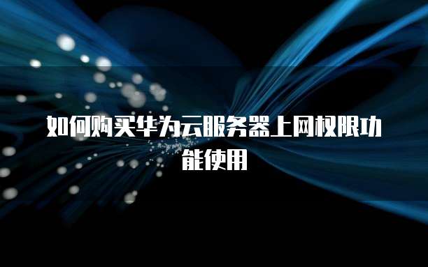 如何购买华为云服务器上网权限功能使用