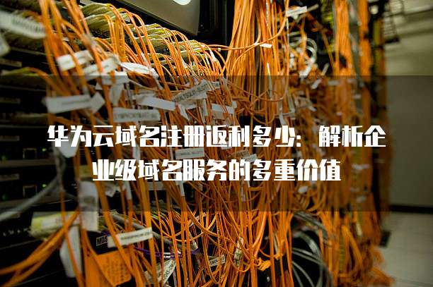 华为云域名注册返利多少：解析企业级域名服务的多重价值