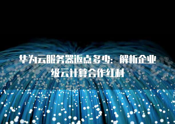华为云服务器返点多少:解析企业级云计算合作红利