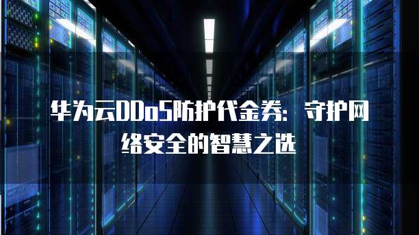 华为云DDoS防护代金券:守护网络安全的智慧之选