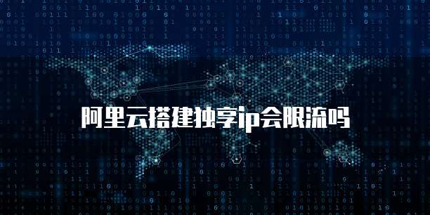 华为云 IP 服务谁会做呢?